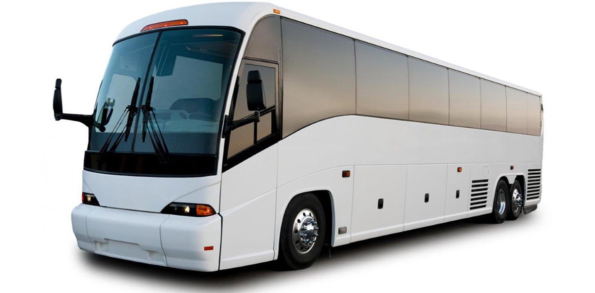 Coach & Limo Buses